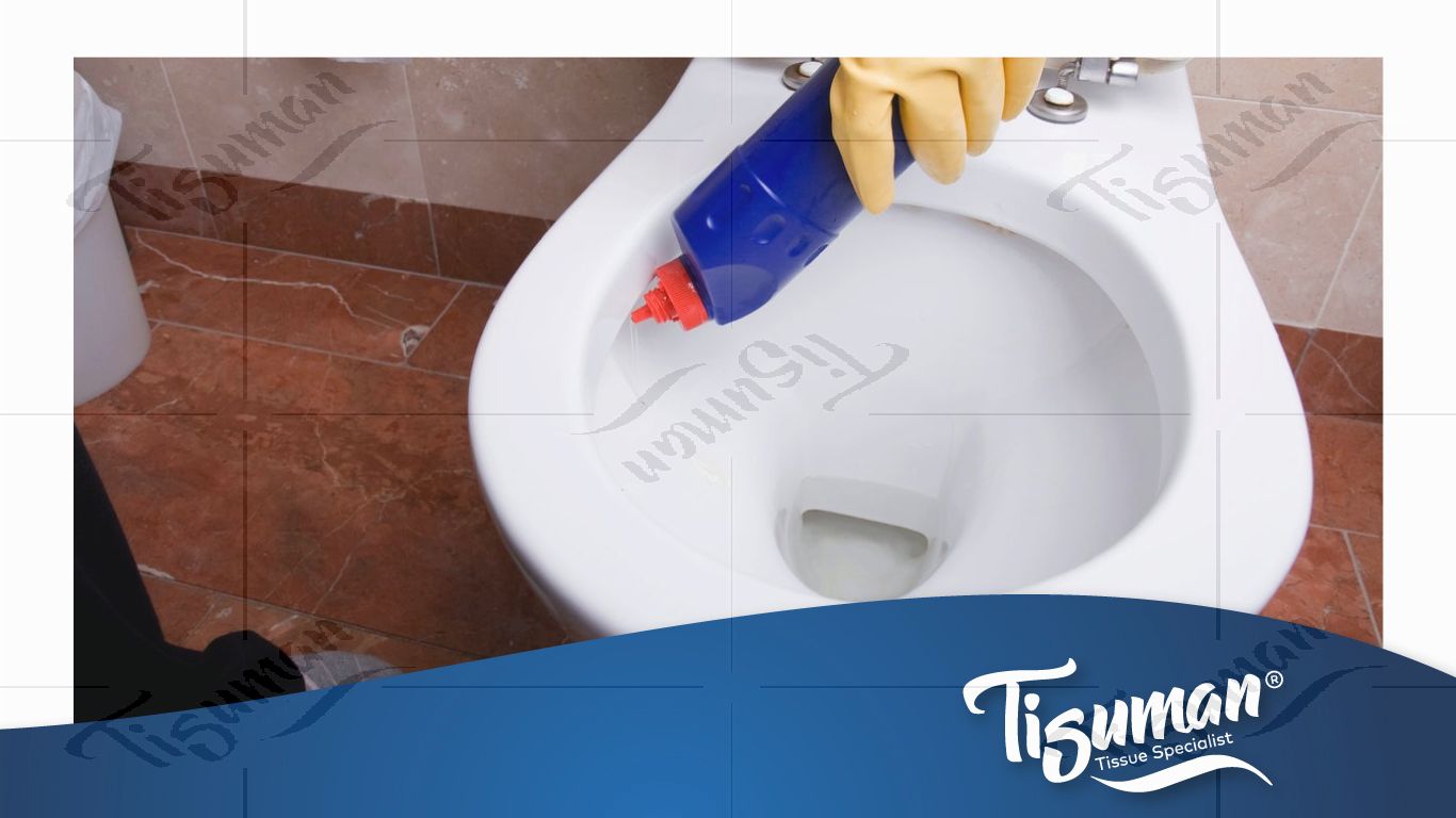 Toilet Bowl Cleaning A Comprehensive Guide to Sanitize and Deodorize Your Porcelain Throne